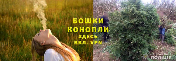 молекула духа Верея