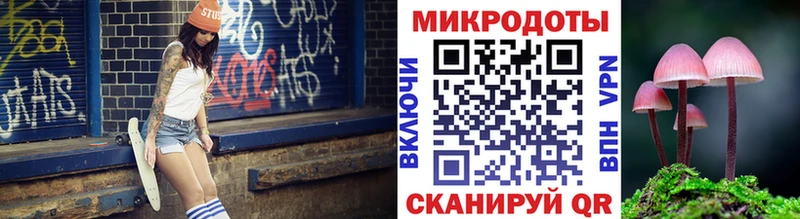Галлюциногенные грибы Psilocybe  Вологда 